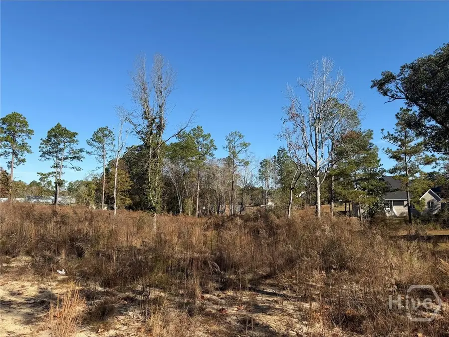 0 Green Ridge Court, Statesboro, GA 30458 - Image #2