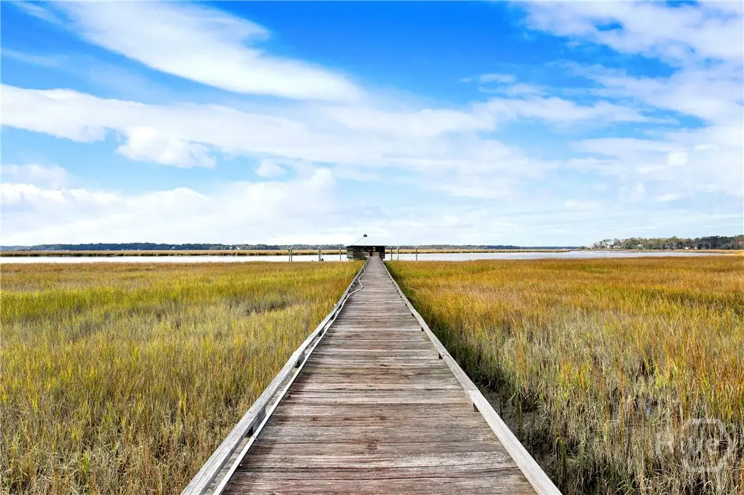 52 NE Delegal Drive, Townsend, GA 31331 - Image #1