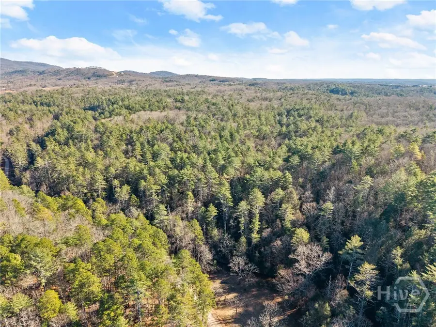 0 Shoal Creek Road, Clarkesville, GA 30523 - Image #2