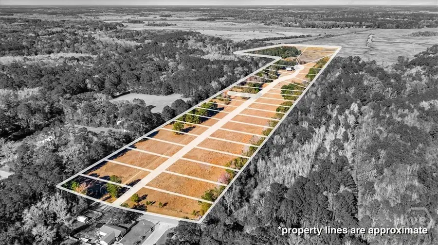 580 Old Gress Island Road, Midway, GA 31320 - Image #3