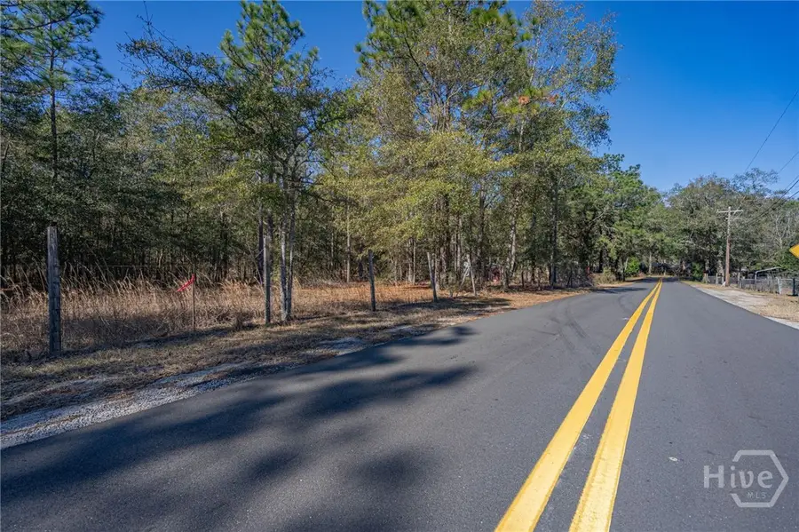 0 Holly Drive, Eden, GA 31307 - Image #3