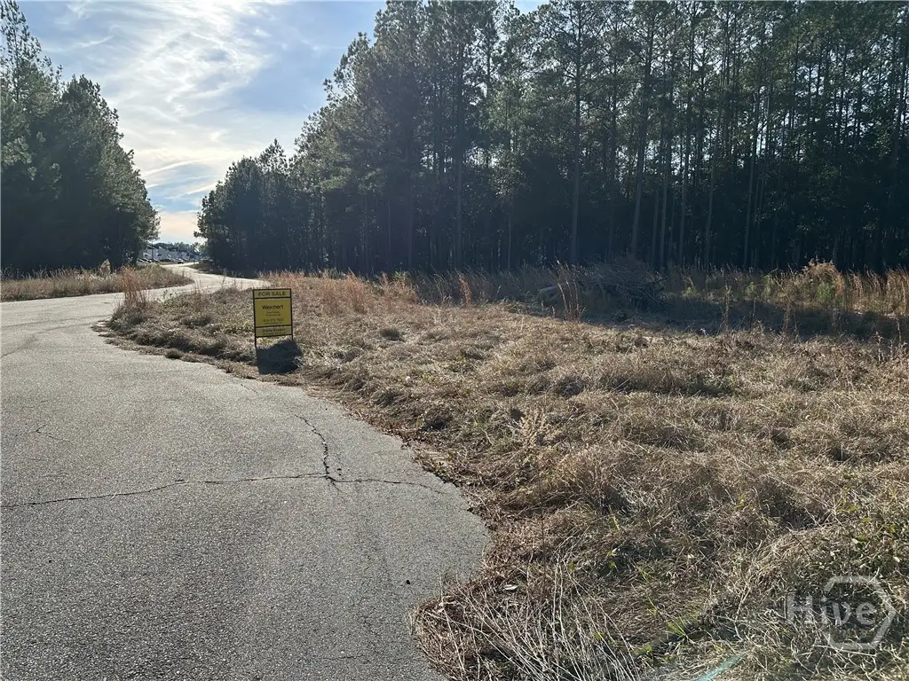 135 and 139 Greenbriar Drive, Guyton, GA 31312 - Image #1