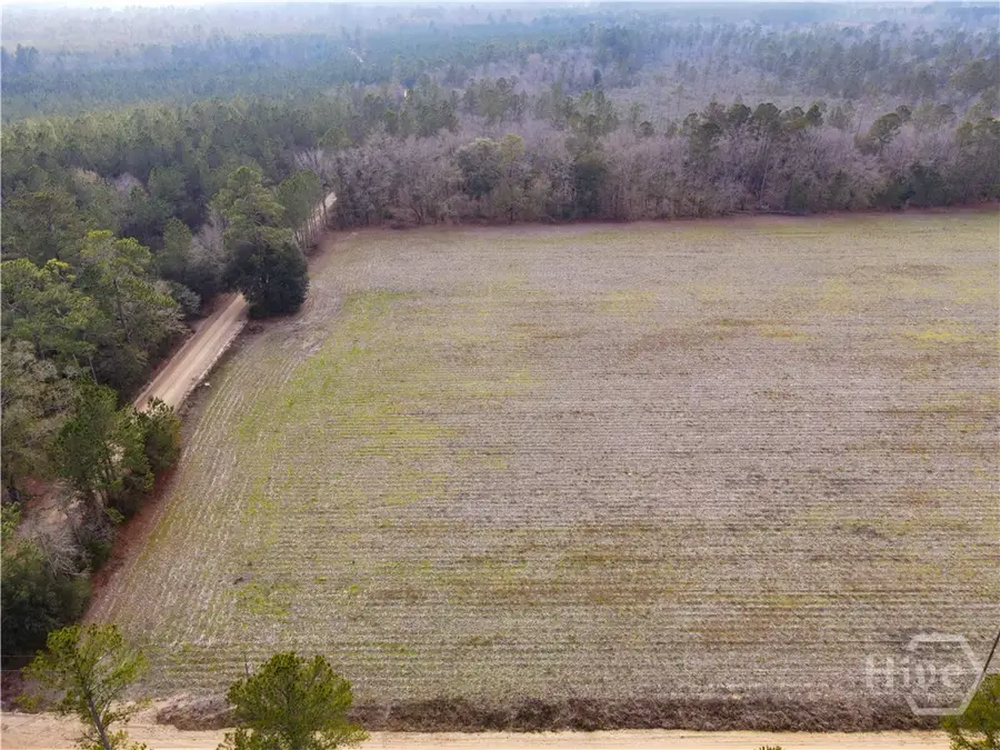 0 Floyd Road #Lot 7, Pembroke, GA 31321 - #2
