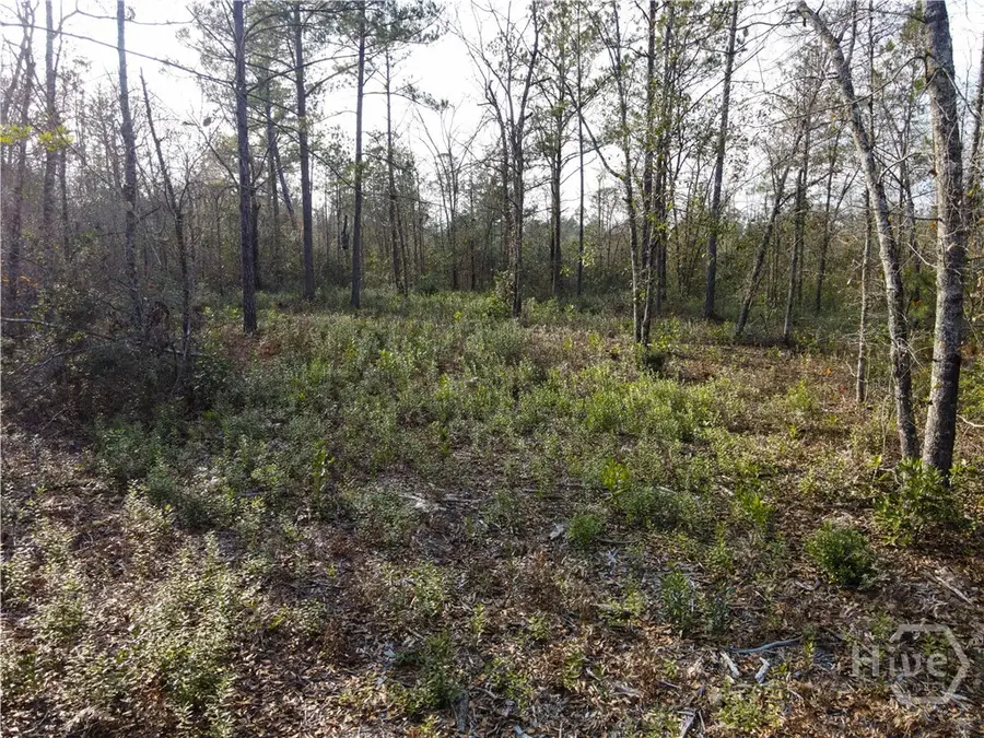 0 Floyd Road #Lot 8, Nevils Stilson, GA 31321 - Image #2