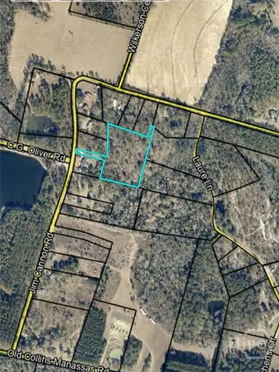 0 Jim Cannon, Collins, GA 30421 - Image #1