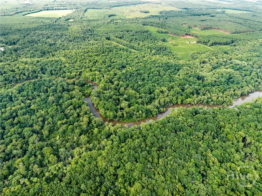 0 Old River Rd N, Statesboro, GA 30461 - Image #2