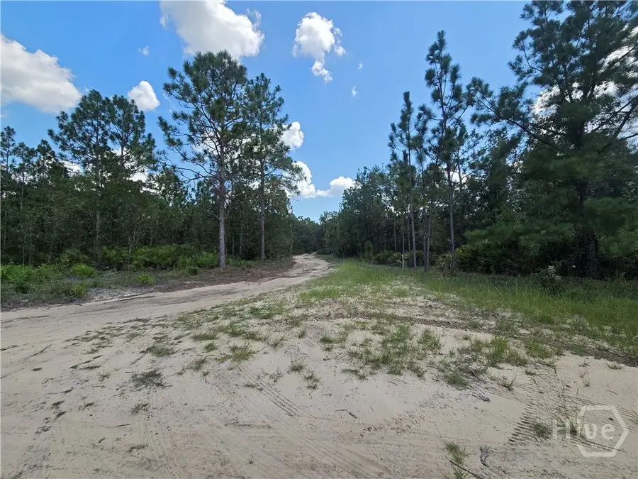 2 Acres Jones Road, Glennville, GA 30427 - Image #3