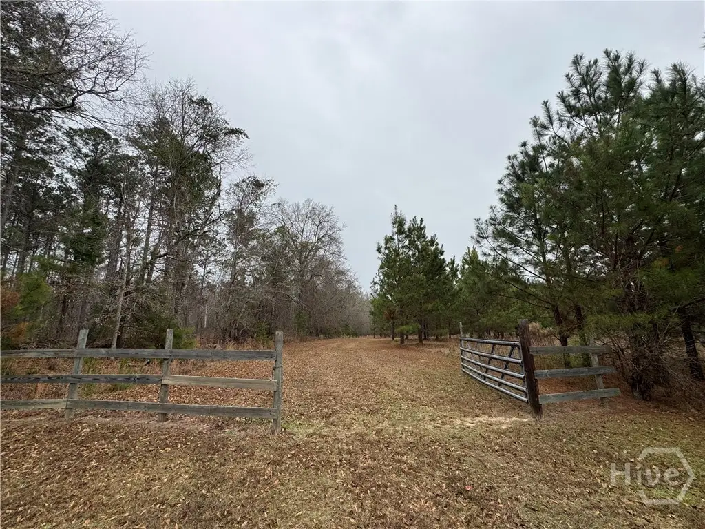 3794 Millen Highway, Sylvania, GA 30467 - Image #1