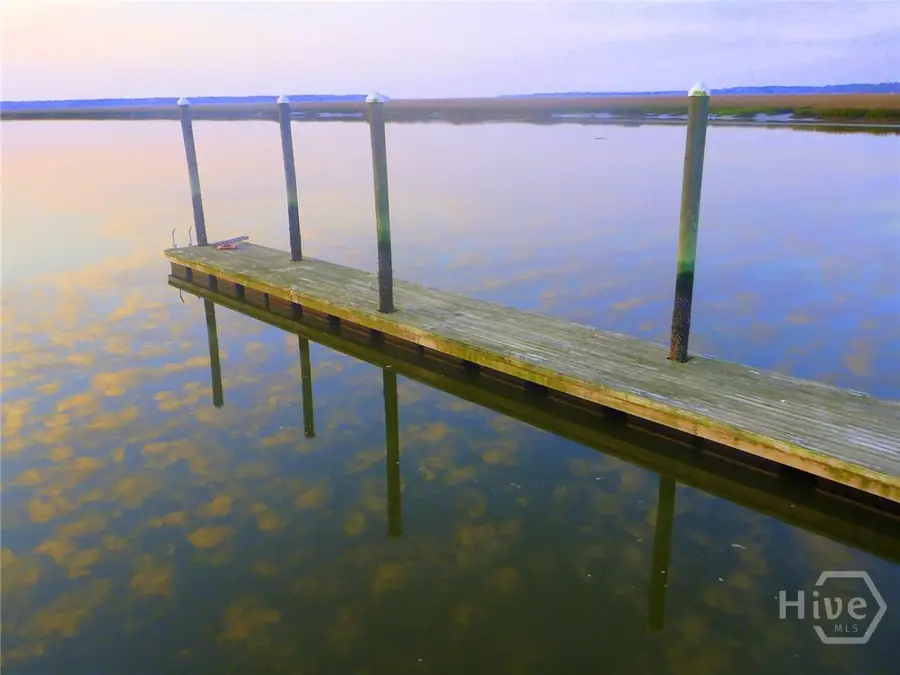 LOT 230 Coopers Landind Drive Ne, Townsend, GA 31331 - Image #3