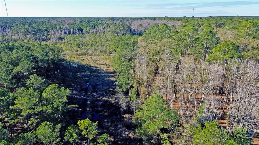 Tract 4 S Newport Drive Ne, Townsend, GA 31331 - Image #3