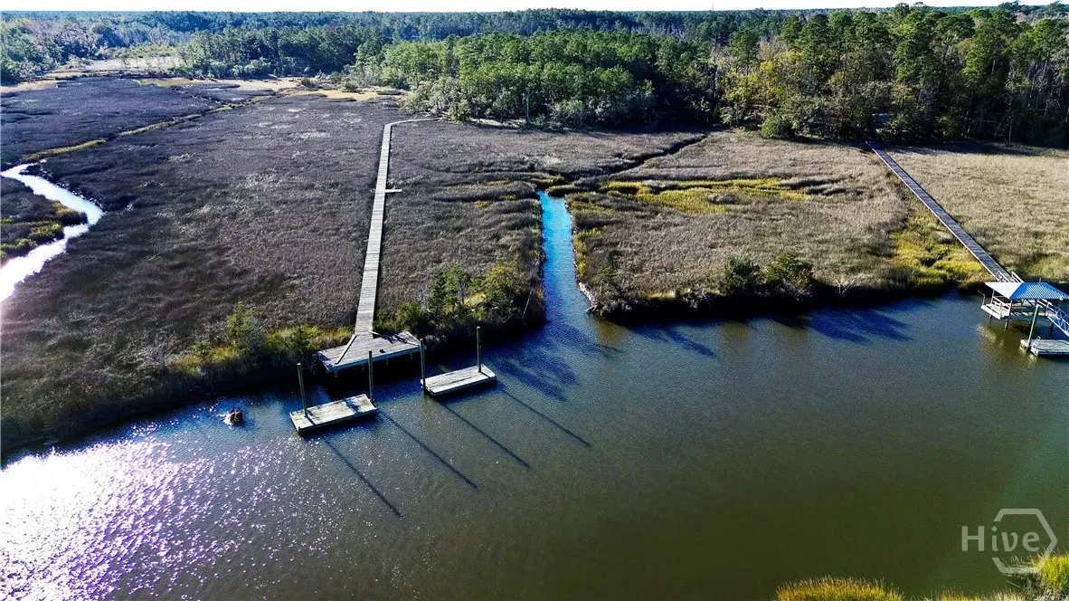 Tract 3 & 4 S Newport Drive Ne, Townsend, GA 31331 - Image #1