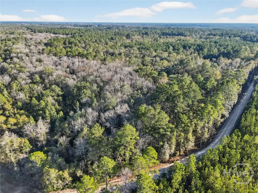 0 Beautuiful Zion Cemetery Road, Pembroke, GA 31321 - #3