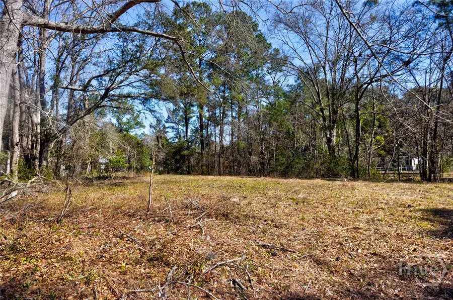 0 Magnolia Street, Guyton, GA 31312 - #3