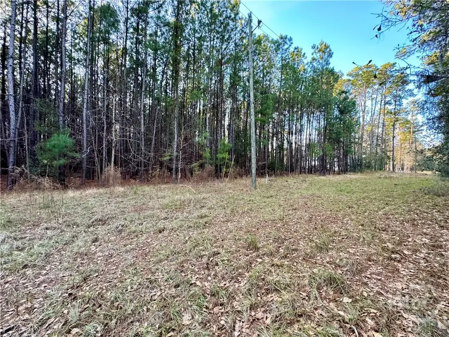 2205 Grove Point Road, Savannah, GA 31419 - Image #2