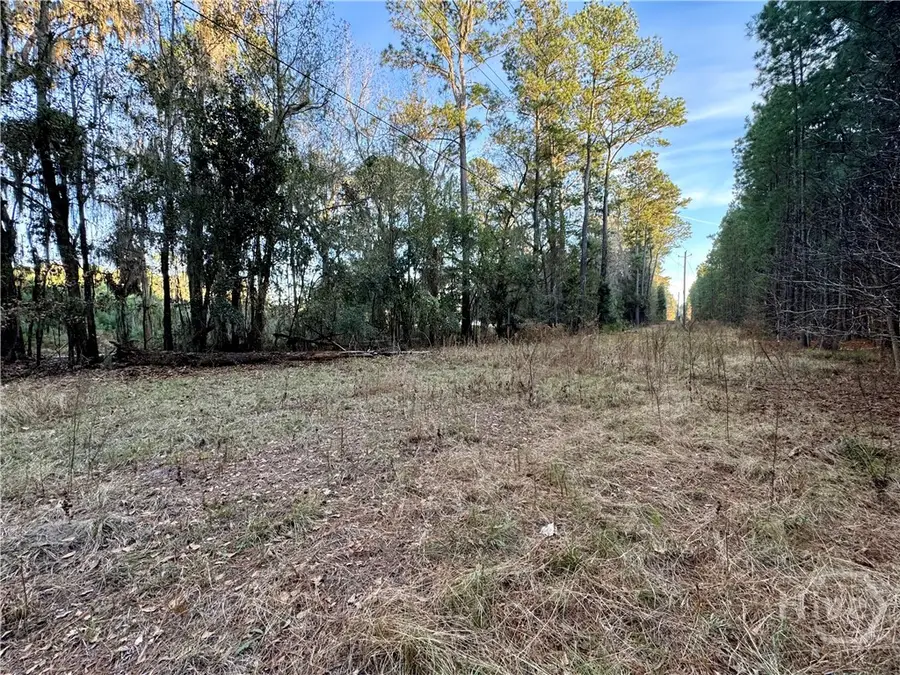 2205 Grove Point Road, Savannah, GA 31419 - Image #3