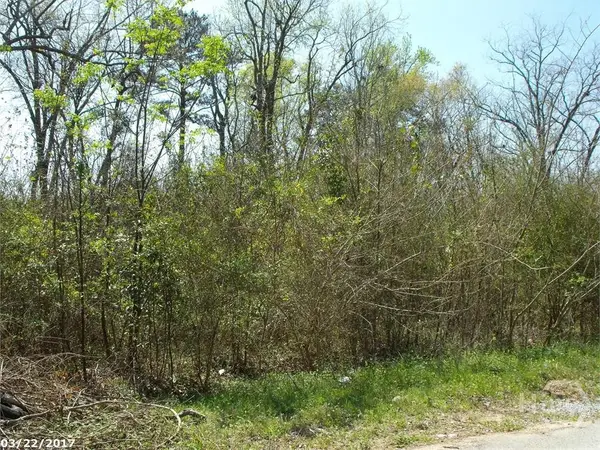 0 Borum, Unadilla, GA 31091