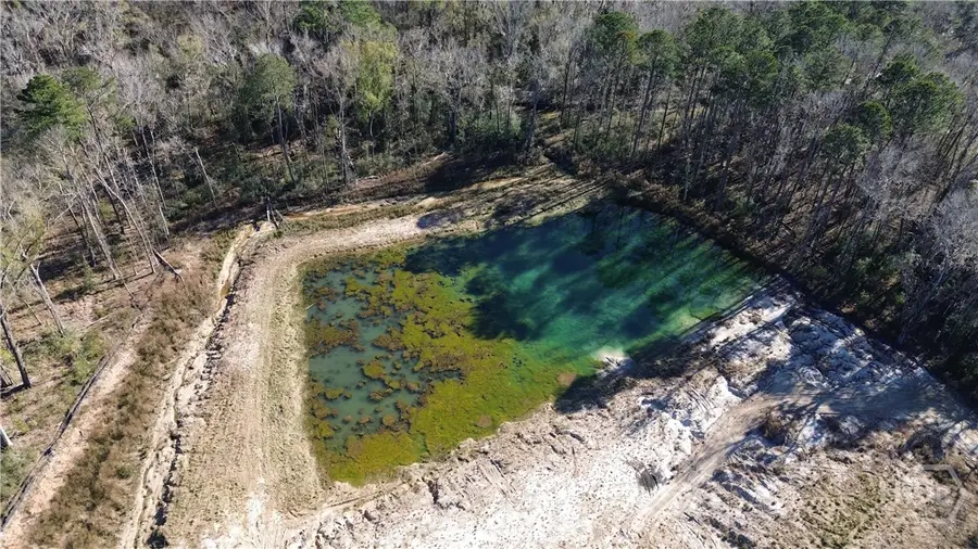 0 Timber Trail, Richmond Hill, GA 31324 - #2