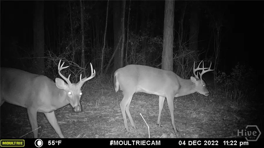 653 Palmer Row, Millen, GA 30442 - Image #2