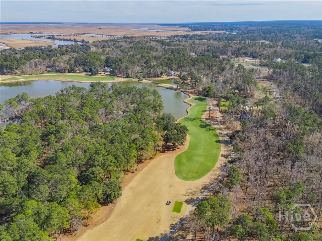 388 Belted Kingfisher Lane, Richmond Hill, GA 31324 - #1