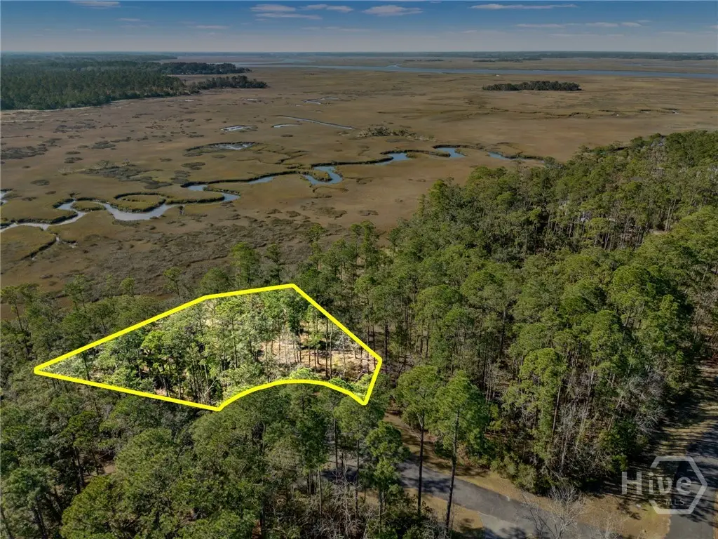 Lot 138 Sapelo Circle Ne, Townsend, GA 31331 - #1
