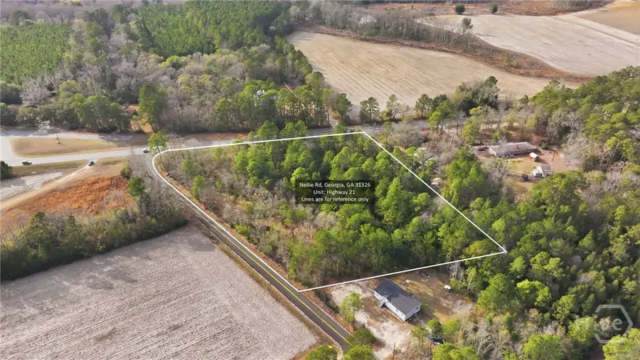 0 Nellie Road, Rincon, GA 31326 - Image #3