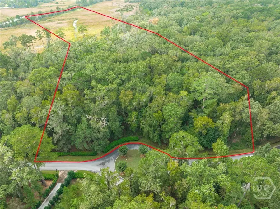 430 Mcallister Landing, Richmond Hill, GA 31324 - #2