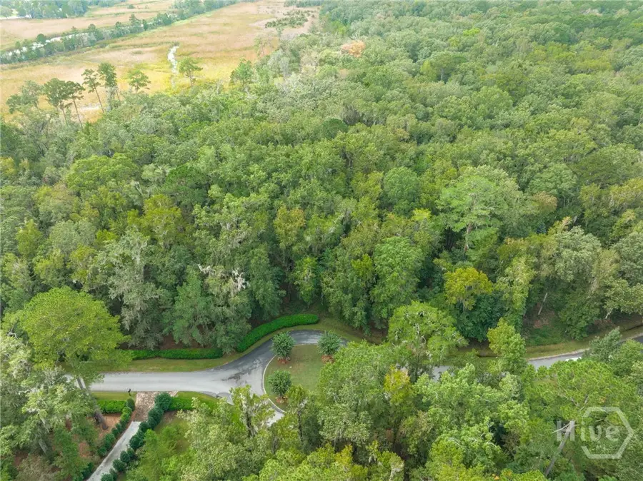 430 Mcallister Landing, Richmond Hill, GA 31324 - #3