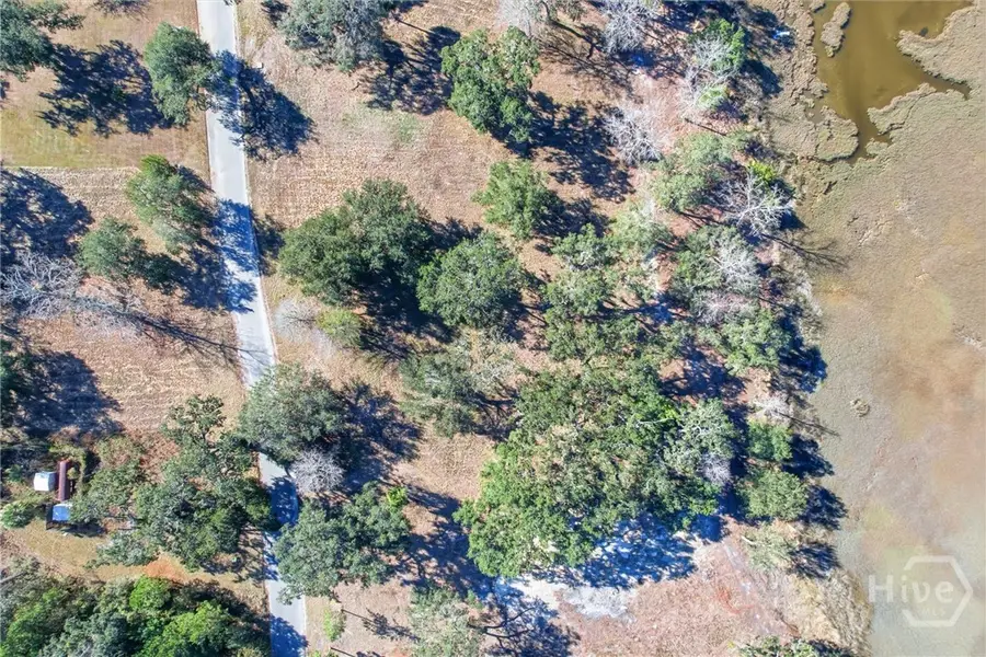 LOT 5 Bermuda Bluff Lane, Midway, GA 31320 - Image #3