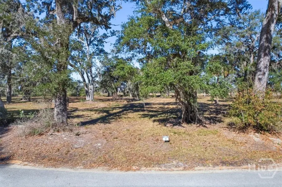 LOT 3 Bermuda Bluff Lane, Midway, GA 31320 - #2
