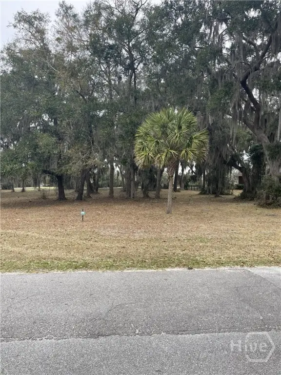 Lot 16/17 Marshview Drive Ne, Townsend, GA 31331 - #2