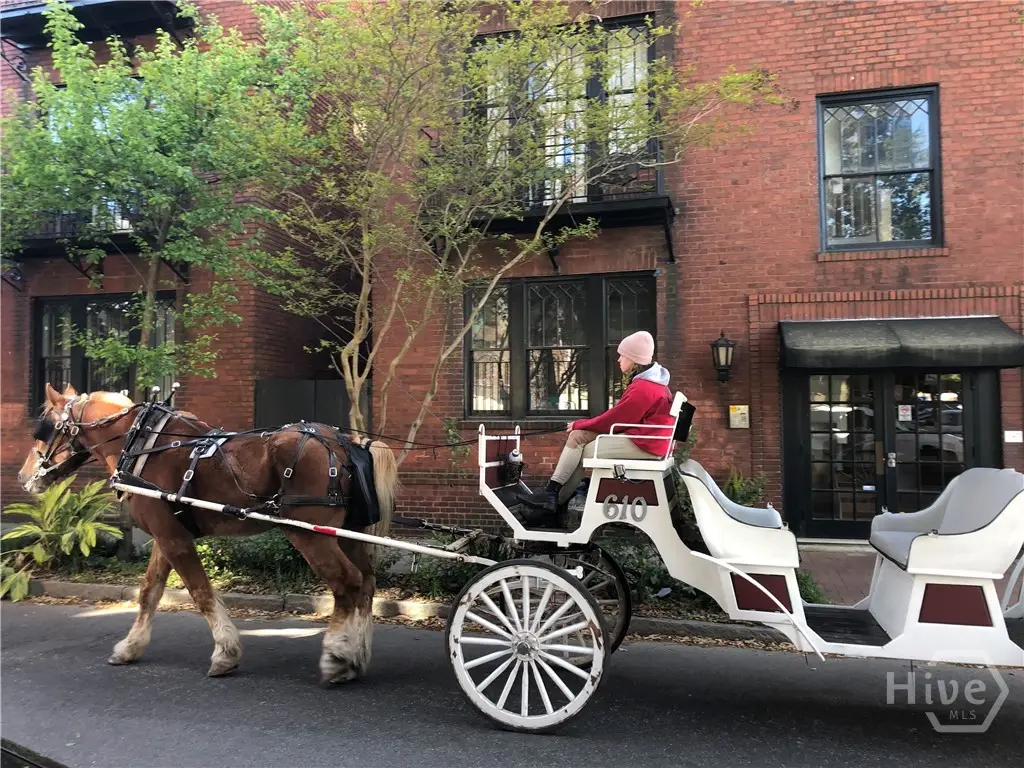 111 Lincoln Street #1B, Savannah, GA 31401 - #1