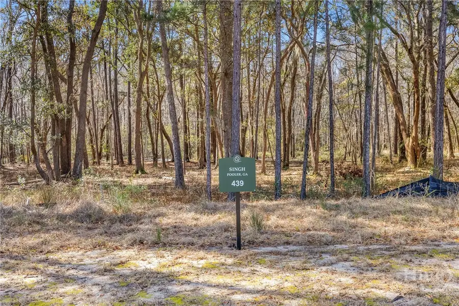 153 Wood Haven Lane, Pooler, GA 31322 - #2