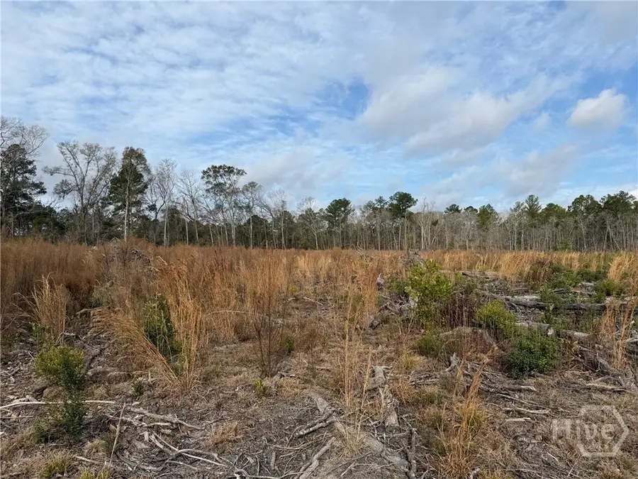 1836-A Hwy 17, Guyton, GA 31312 - #3