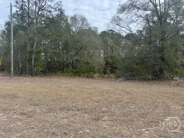 287 Wallace Drive, Springfield, GA 31329 - #3