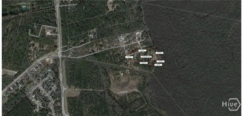 111 Wills Drive, Rincon, GA 31326 - #1