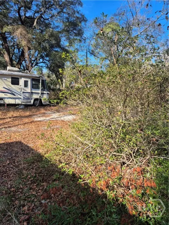 280 Reynard Drive, Eden, GA 31307 - #3