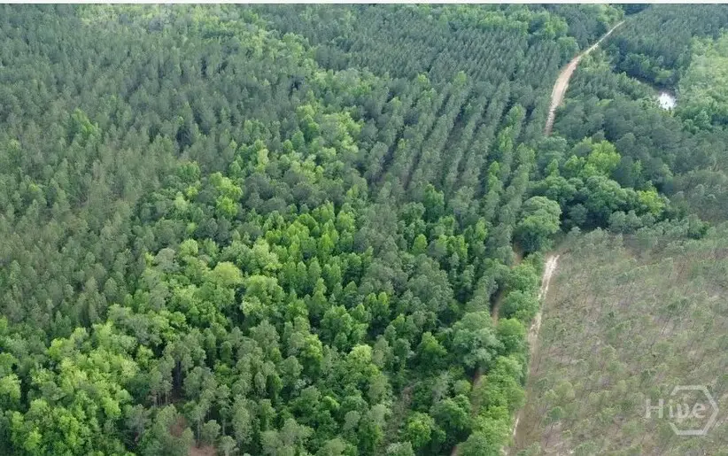 0 Old Manassas Foy Road #Tract 5, Register, GA 30452 - #1