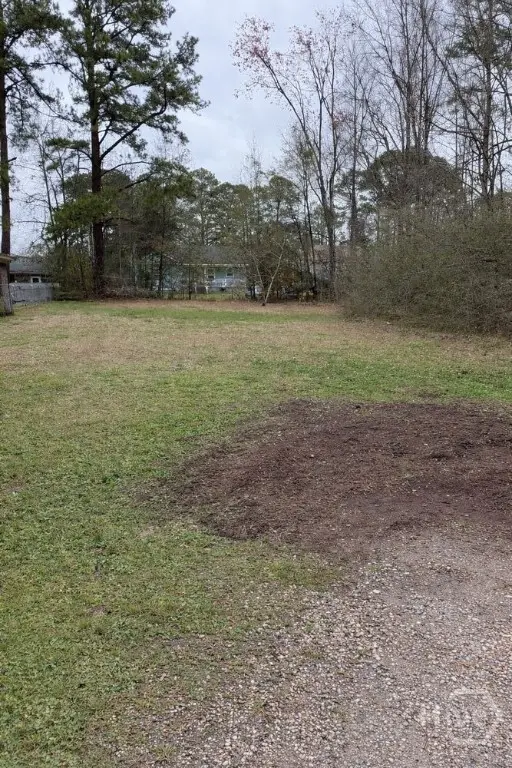 1805 Toomer Avenue, Savannah, GA 31406 - #2