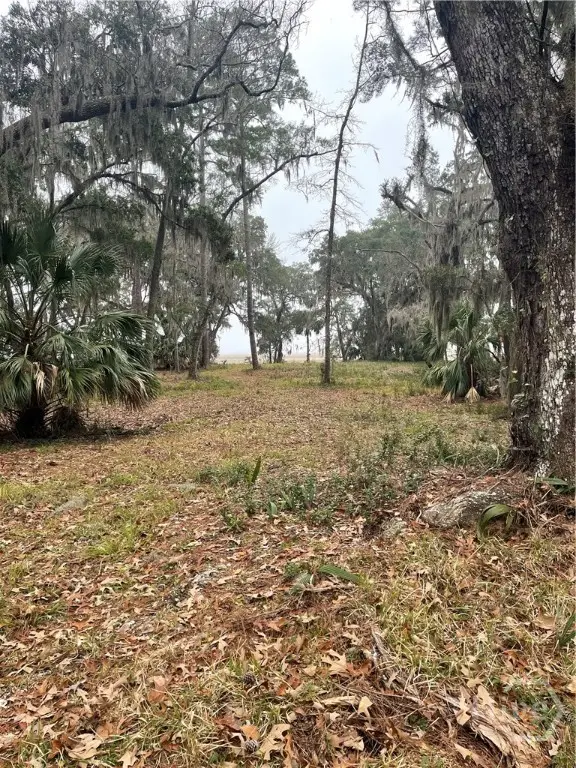 2050 Belle Hammock Road Ne, Townsend, GA 31331 - #3