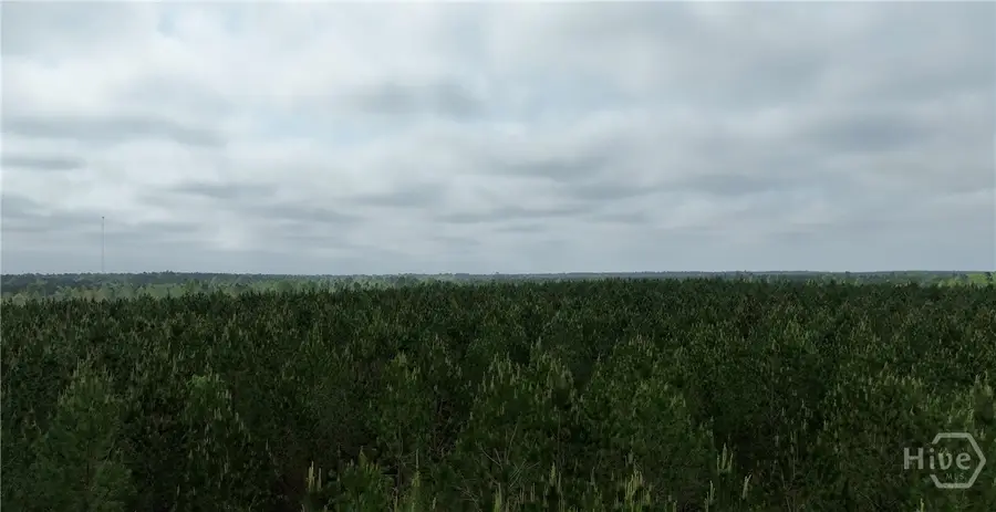 02 Saint Galilee Road, Summertown, GA 30401 - #2