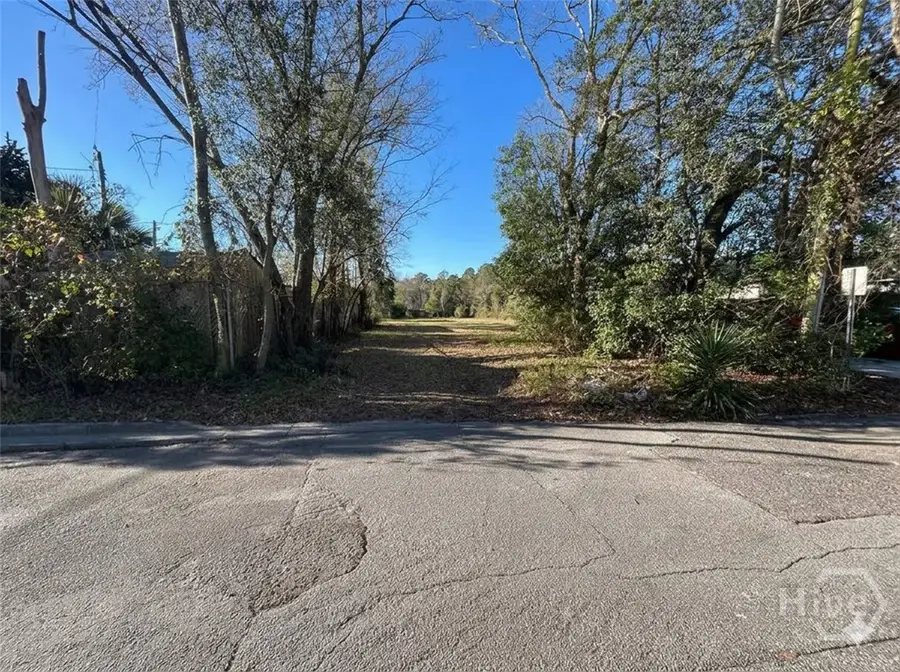 786 Wolf Street, Savannah, GA 31401 - #2