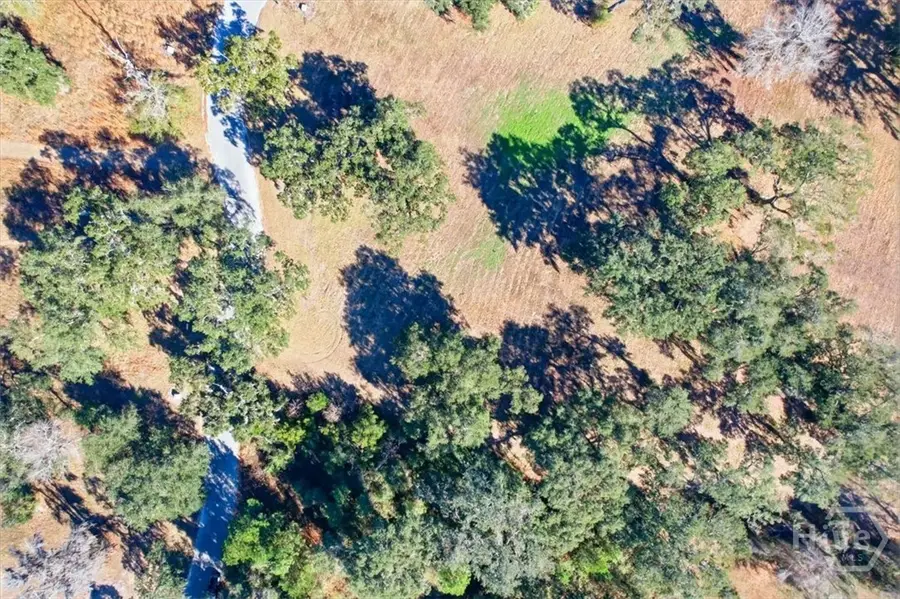 LOT 28 Bermuda Bluff Lane, Midway, GA 31320 - #2