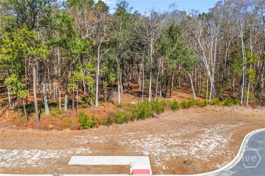 154 Wood Haven Lane, Pooler, GA 31322 - #2