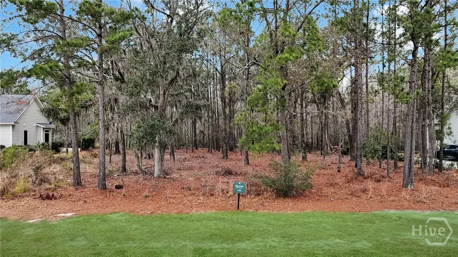 195 Wood Haven Lane, Pooler, GA 31322 - #3