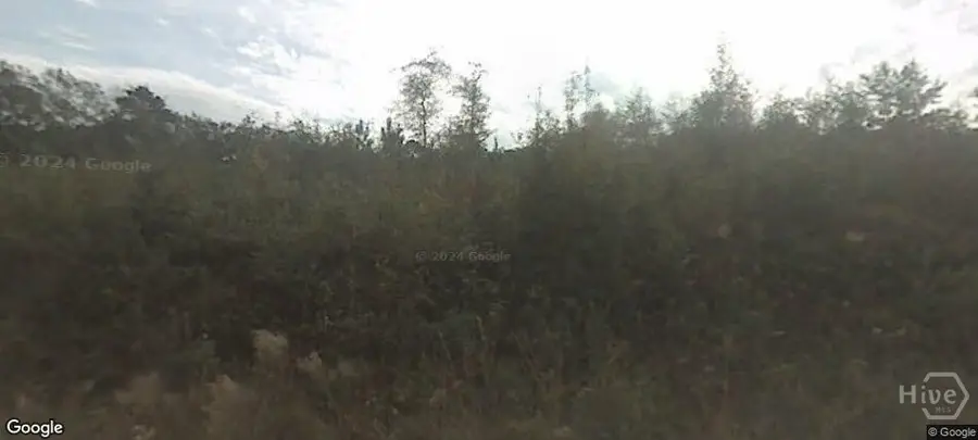 343 Pleasant Acres Road, Springfield, GA 31329 - #2