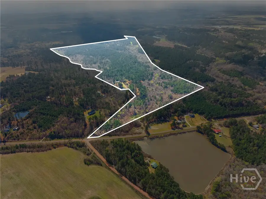 3127 Buttermilk, Sylvania, GA 30467 - #2