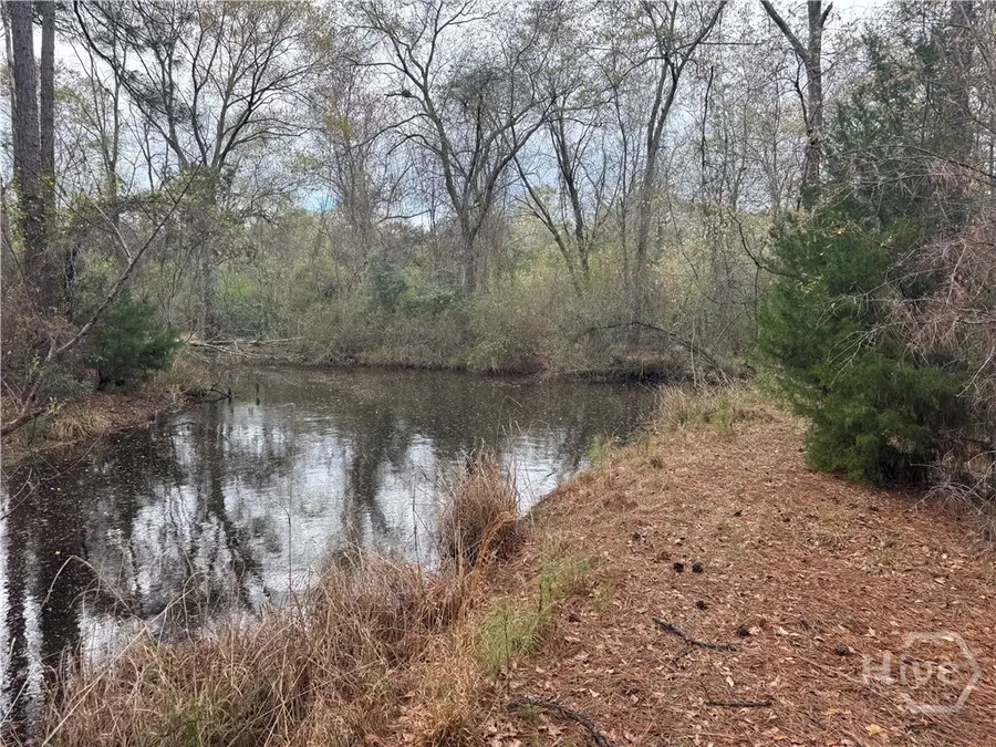 227 Raymond Street, Statesboro, GA 30458 - #3