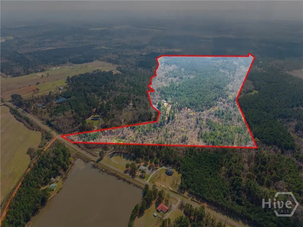 3127 Buttermilk, Sylvania, GA 30467 - #1