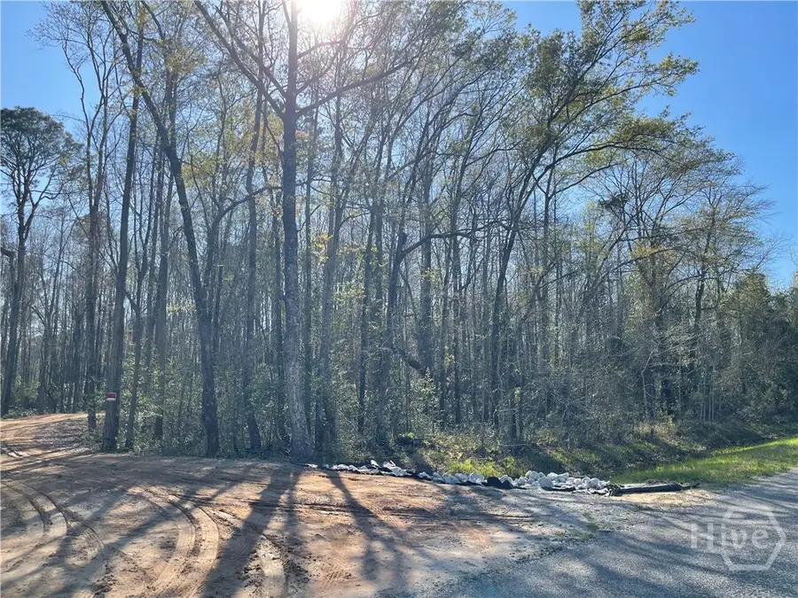 0 Savannah Town Road, Springfield, GA 31329 - #2