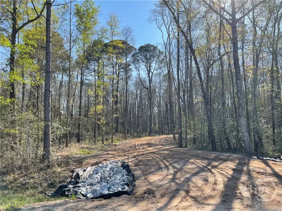 0 Savannah Town Road, Springfield, GA 31329 - #3